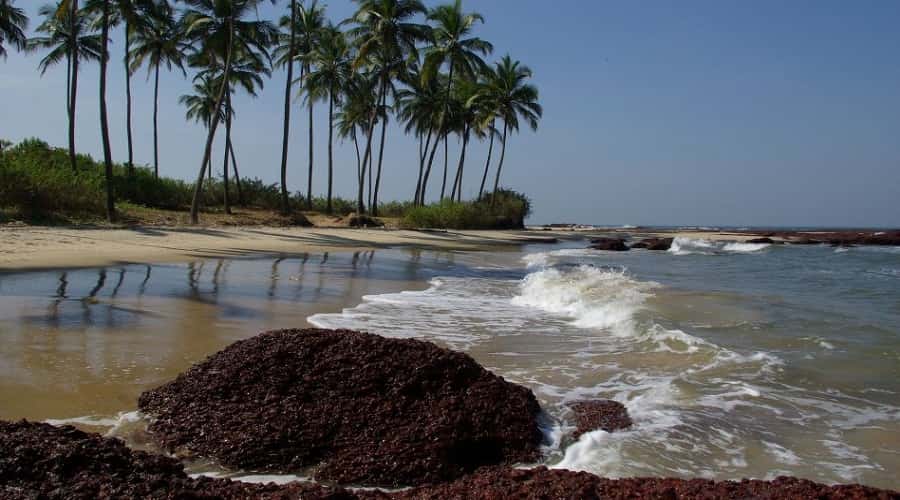 Bhogawe Beach of Vengurla Malvan