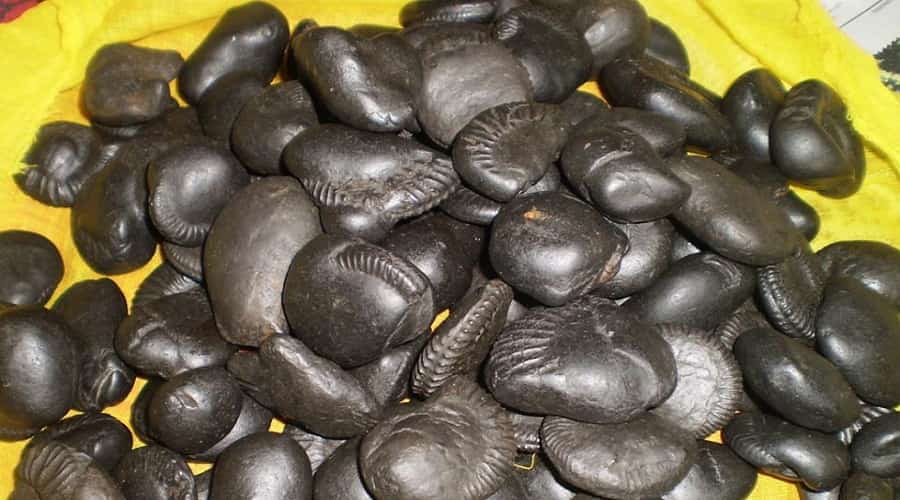 Shaligrams