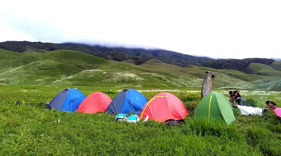 Camping in Dzukou valley