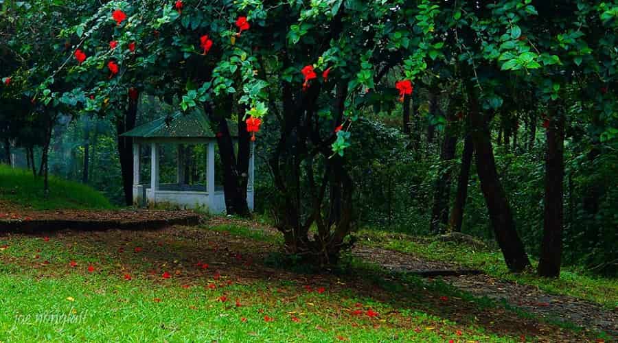 Lum Nehru Park - Meghalaya