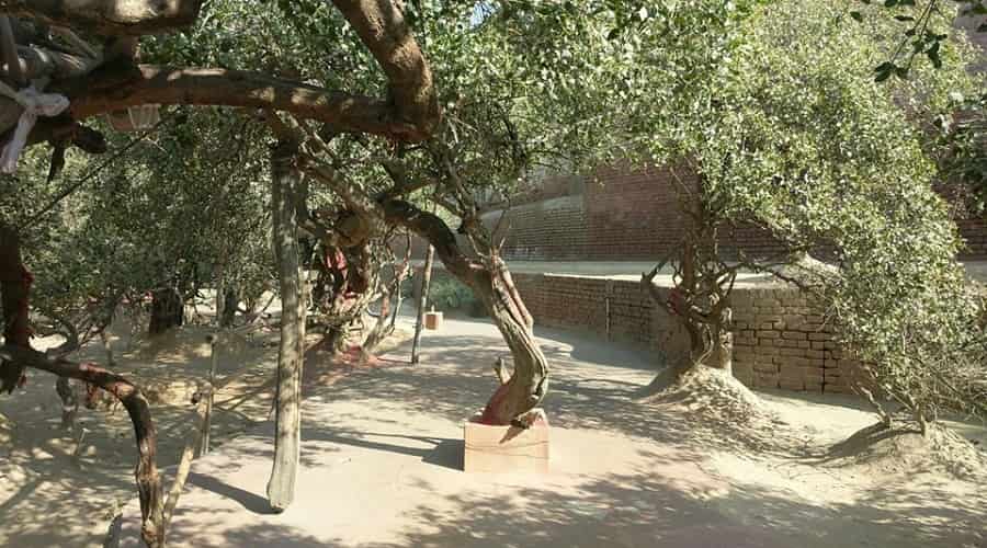 Nidhivan Temple, Vrindavan
