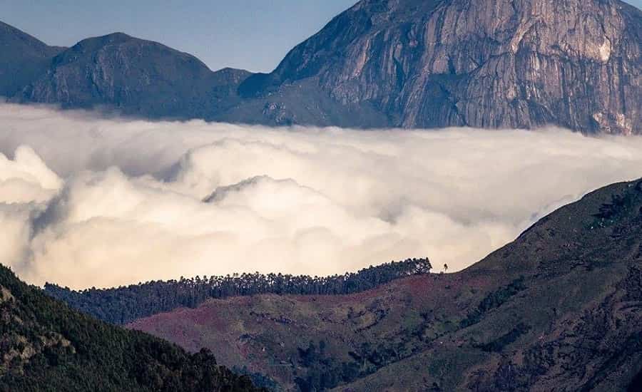 Anamudi Peak Munnar, Kerala