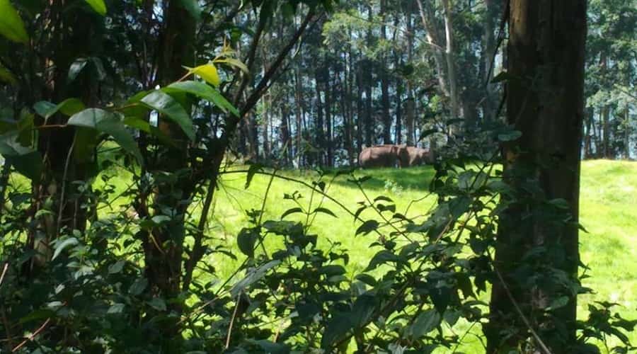 Chinnar Wildlife Sanctuary