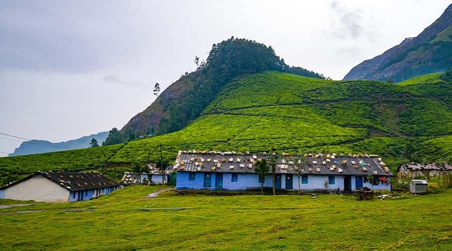 Kolukkumalai Tea Estate, Munnar