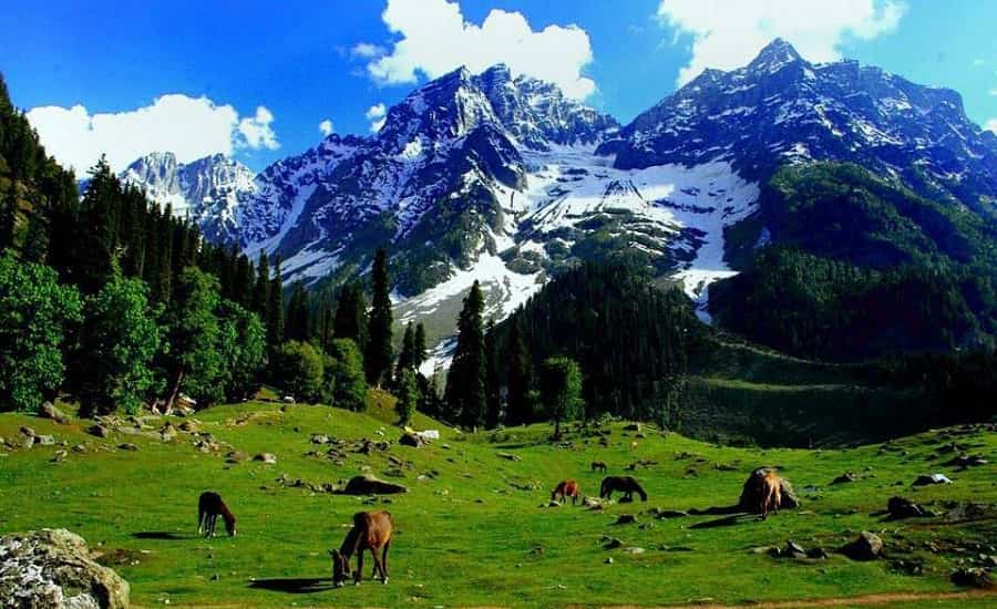 Sonmarg - The Meadow of Gold