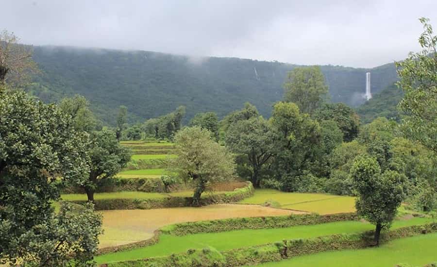 Vajrai Waterfall near Satara