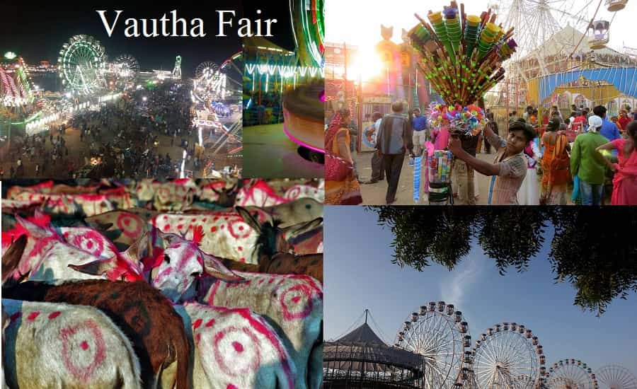 Vautha Fair