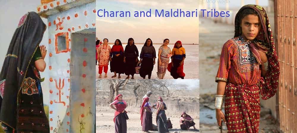 Charan and Maldhari Tribes