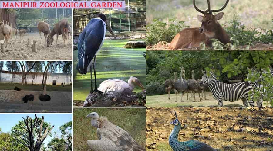 Manipur Zoological Garden, Imphal - Best Time to Visit, Things to Do