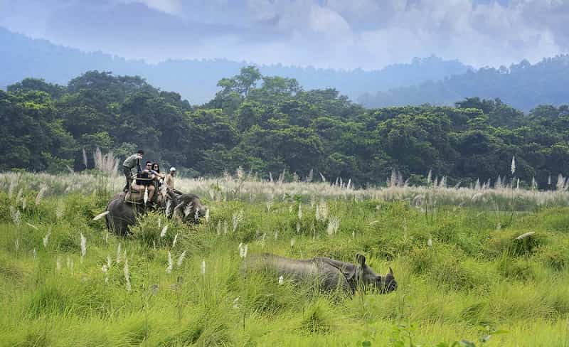 Chitwan National Park
