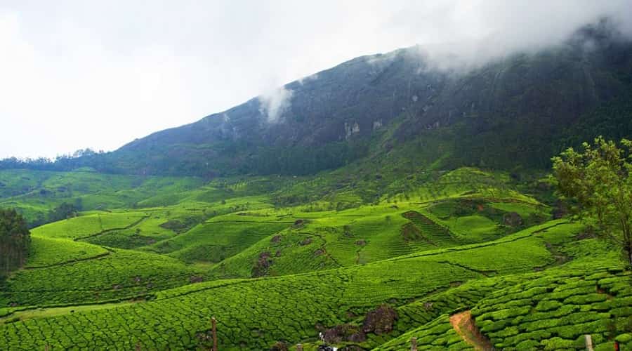 Echo Point, Munnar