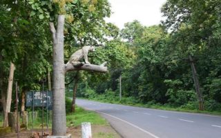 Vansda National Park