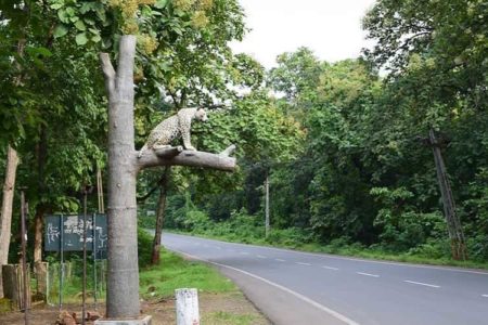 Vansda National Park