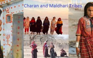 Charan and Maldhari Tribes