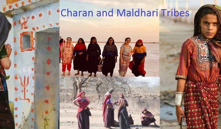 Charan and Maldhari Tribes
