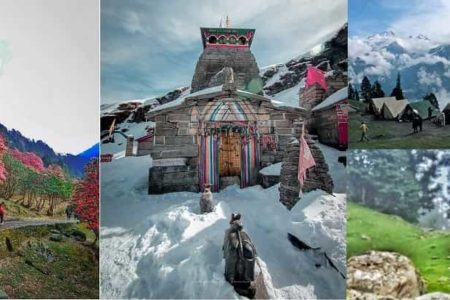 Chopta Tungnath Trek Guide