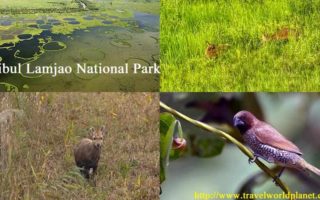 Keibul Lamjao National Park