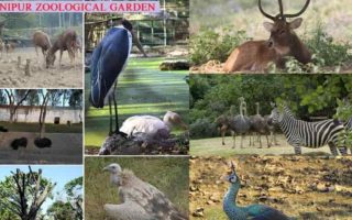 Manipur Zoological Garden