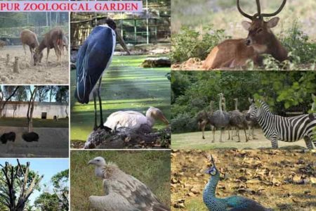 Manipur Zoological Garden