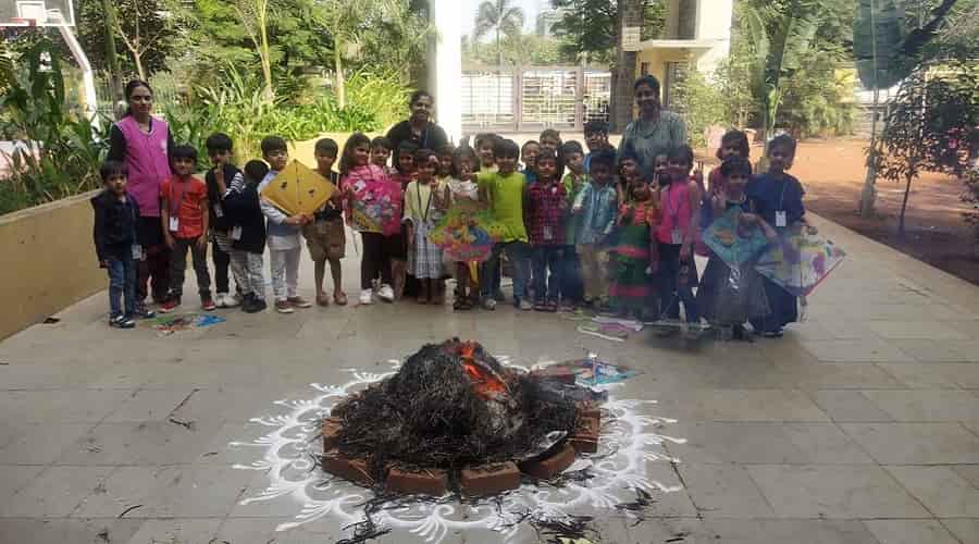 makar sankranti celebrations in andhra pradesh