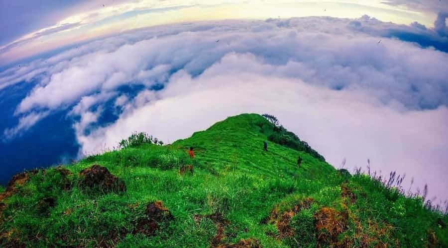 Kodachadri Trek Trail