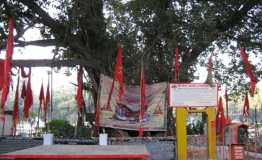 Akshaya Vat, Allahabad