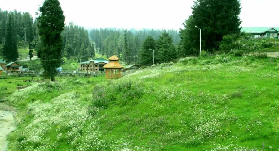 Lein Marg, Gulmarg