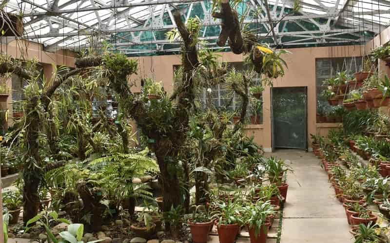 Botanical Survey of India Orchidarium, Shillong