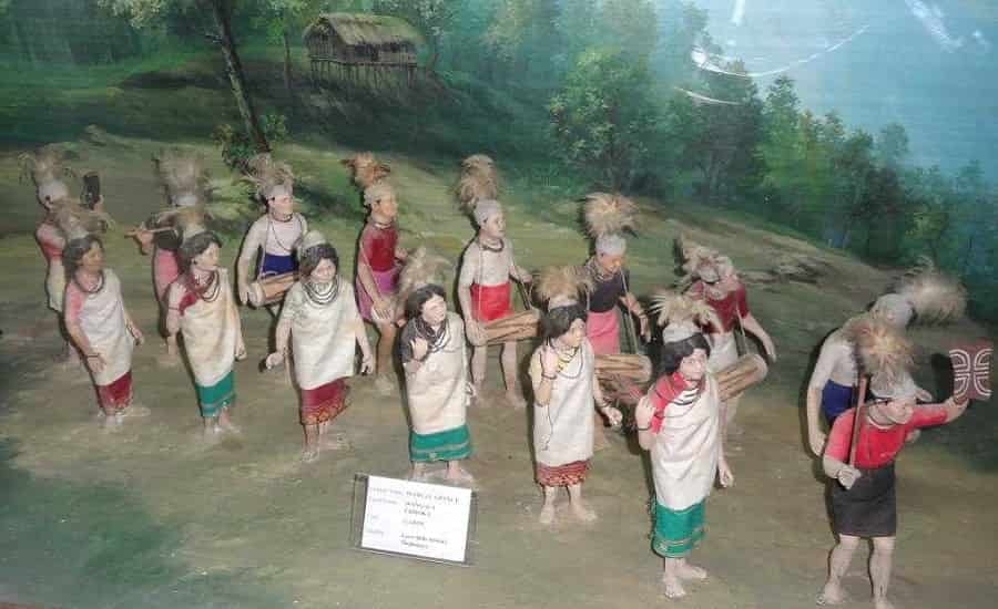 Captain Williamson Sangma State Museum