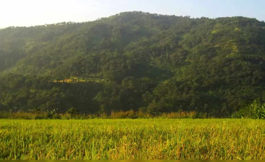 Jatinga Village