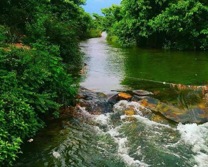 Lacchiwalla, Dehradun
