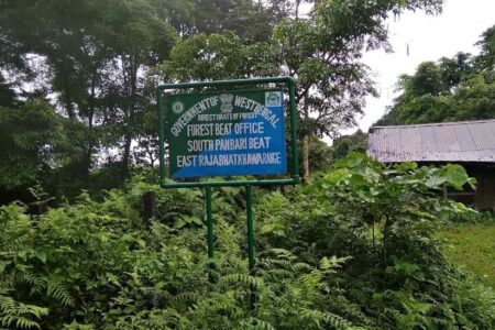 Panbari Reserve Forest
