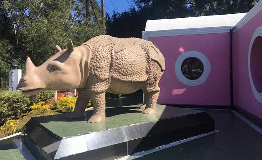 Rhino Heritage Museum, Shillong