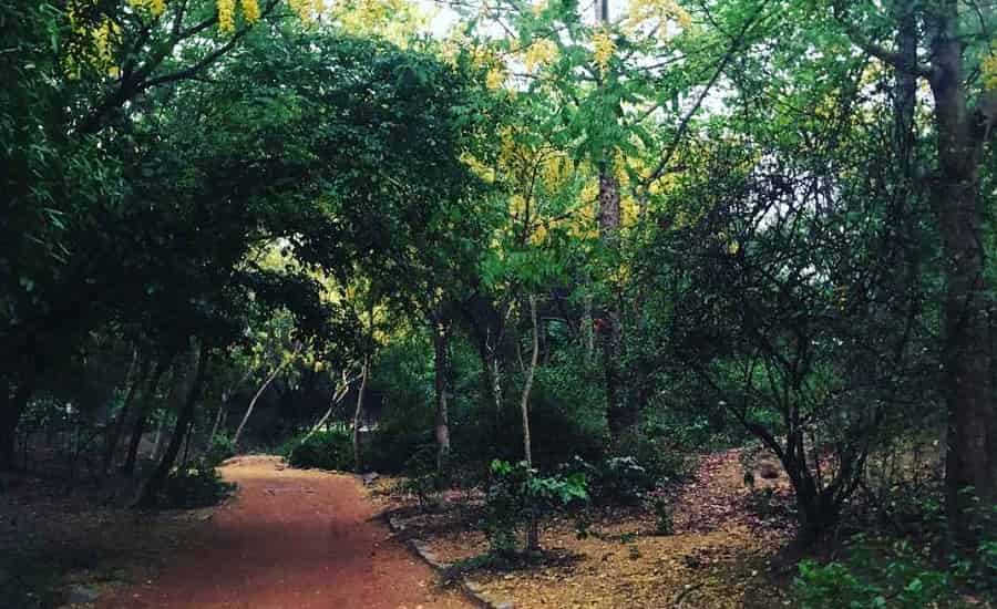 Sanjay Van