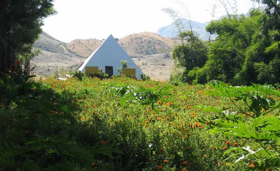 Tapovan Ashram, Dehradun