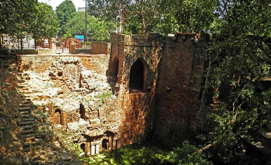 The Ridge, North Campus Delhi