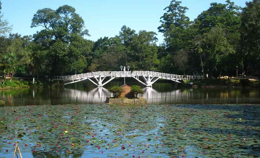 Wards Lake, Shillong
