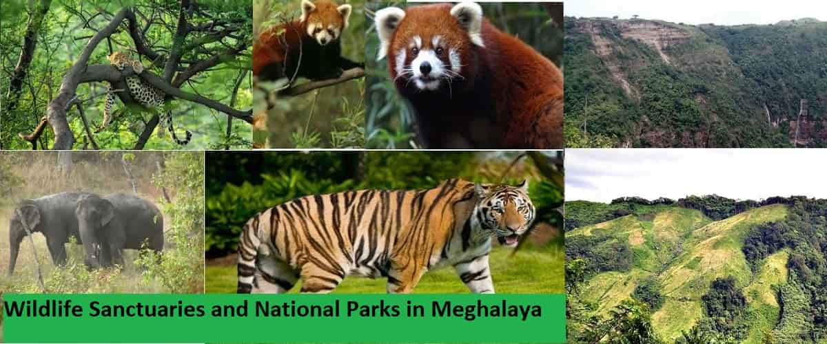 National Parks & Wildlife Sanctuaries in Meghalaya