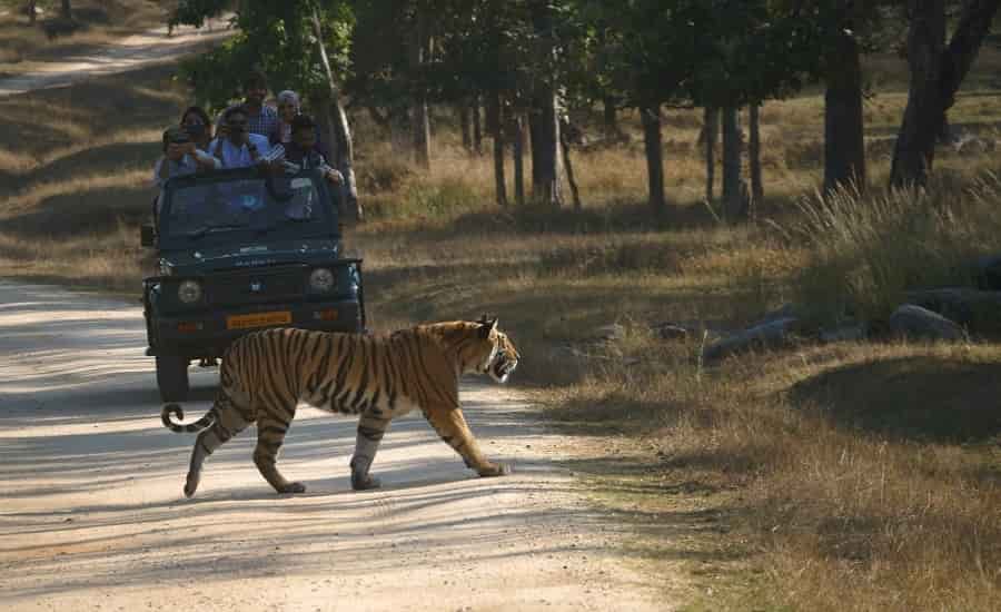 pench national park
