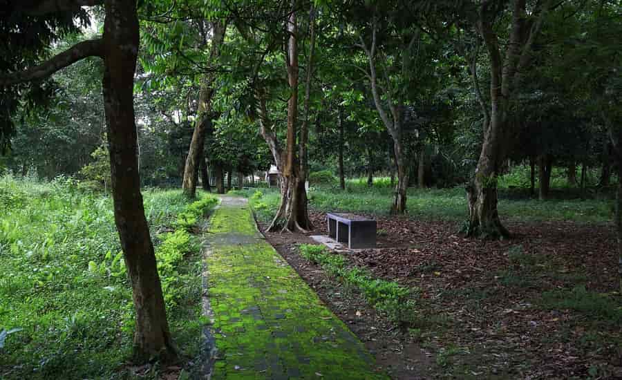 Jokai Botanical Garden, Dibrugarh