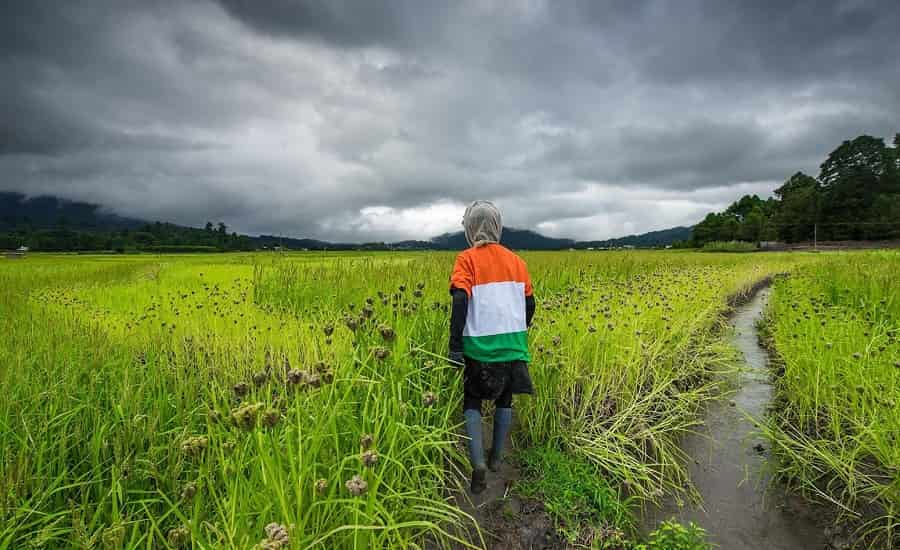 Kile Pakho, Ziro