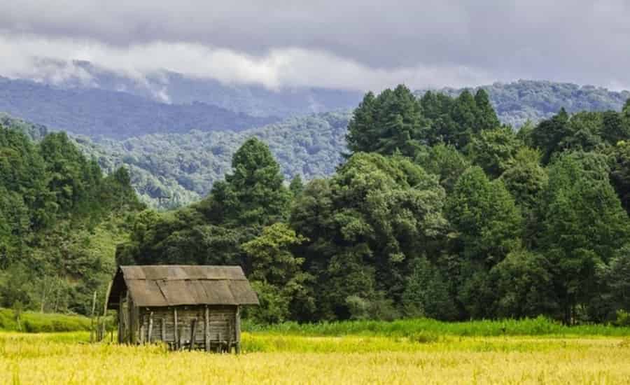 Midey, Ziro