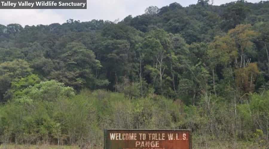 Talley Valley Wildlife Sanctuary