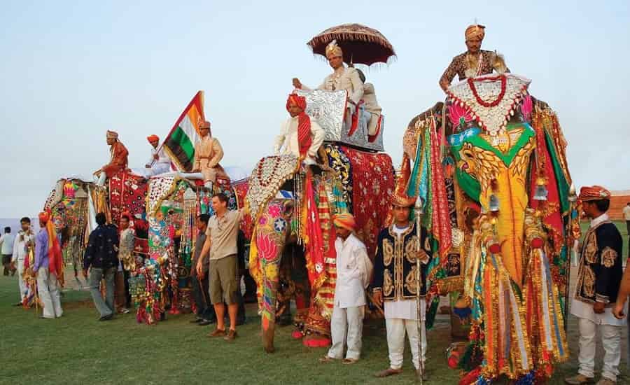 Elephant Festival at Jaipur