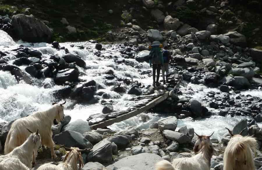 Gaddi trek