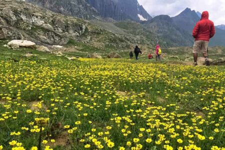 Kashmir Great Lakes Trek