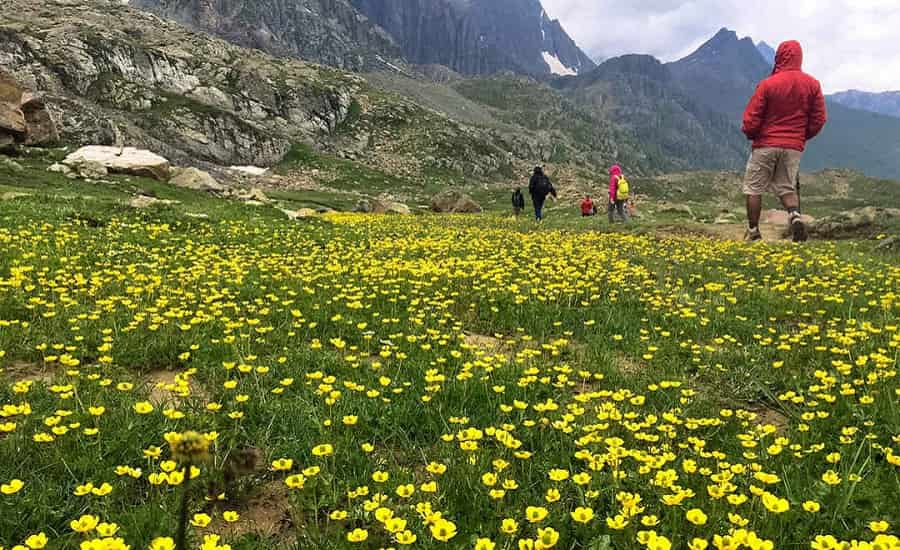 Kashmir Great Lakes Trek