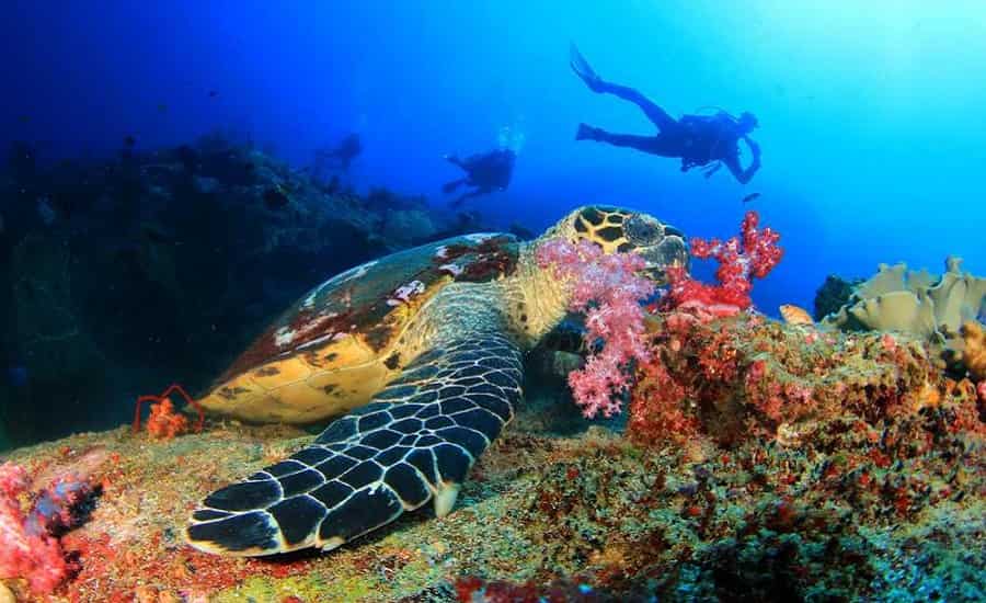 Khao Lak Scuba Diving