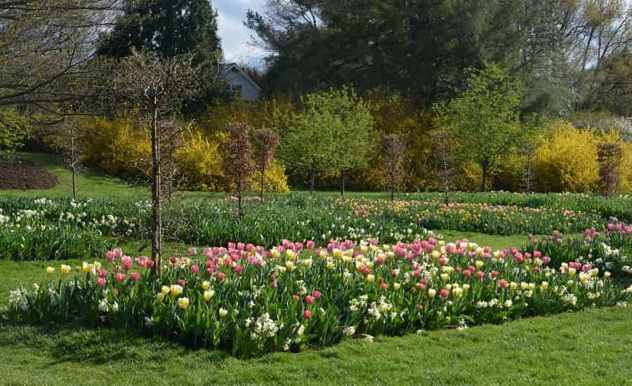 Kidwai Garden, Hyderabad