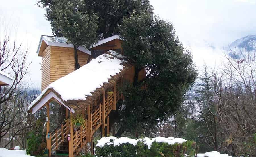 Manali Tree Houses Cottage, Manali